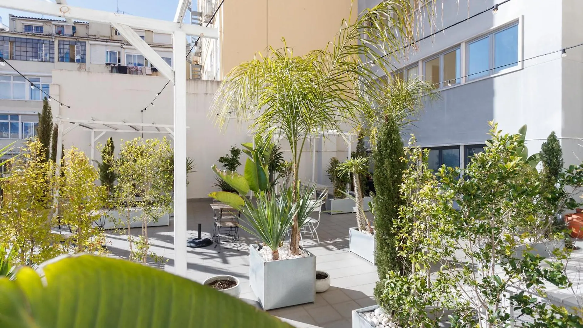 Apartment Neegroni Balcony In Lisbon - By Misha'S Place 1A