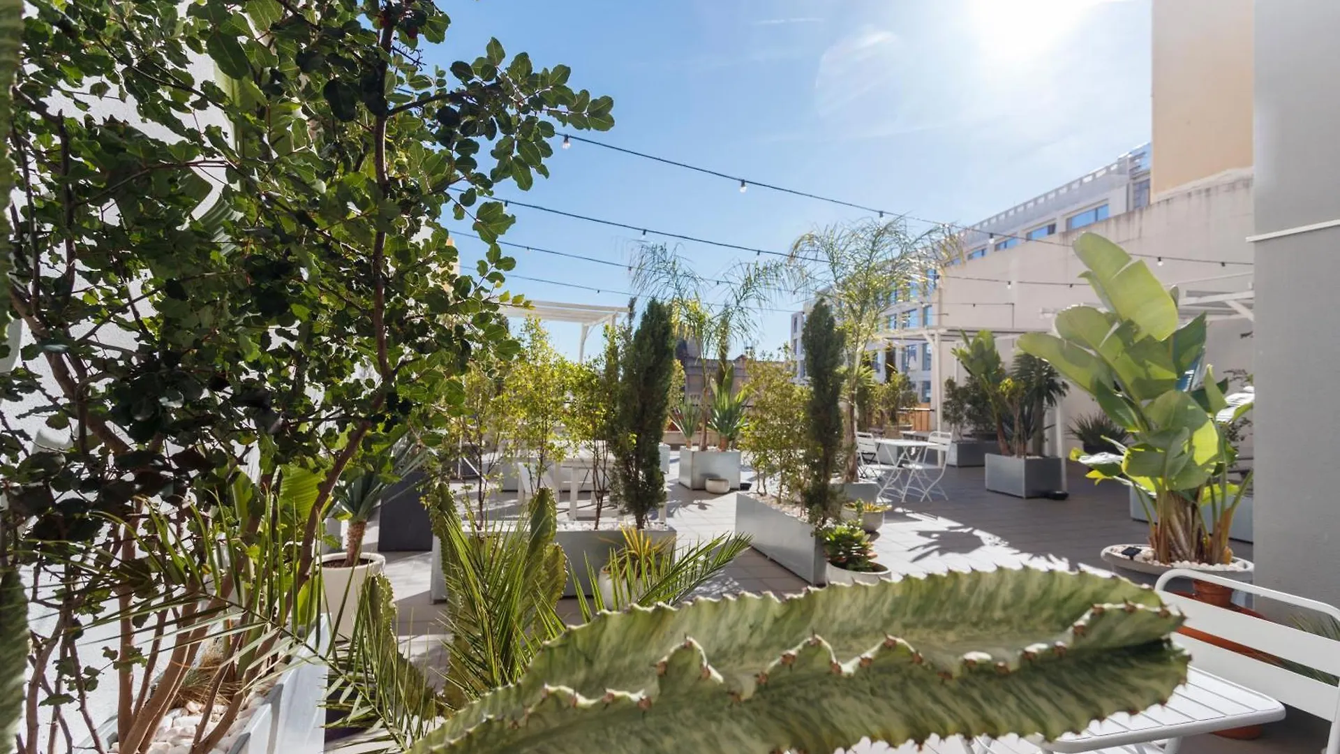アパート Neegroni Balcony In Lisbon - By Misha'S Place 1A ポルトガル